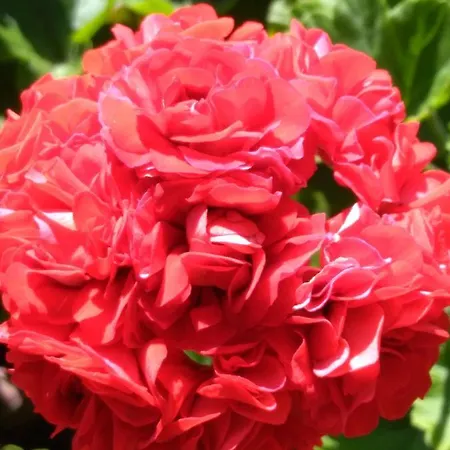 Appartamento Zillertal Mit Traumausblick - Haus Kirchler