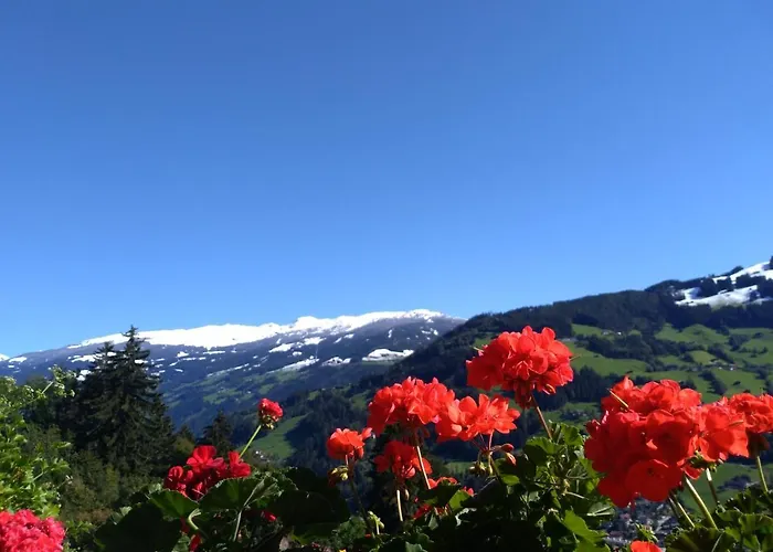 Zillertal Mit Traumausblick - Haus Kirchler Apartment Hippach