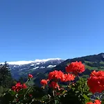 Zillertal Mit Traumausblick - Haus Kirchler アパート ヒパッハ