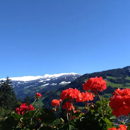 Zillertal Mit Traumausblick - Haus Kirchler شقة هيباخ